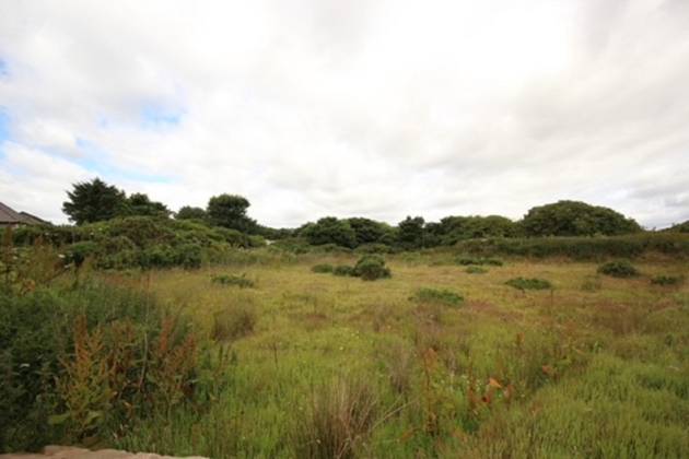 View of the site